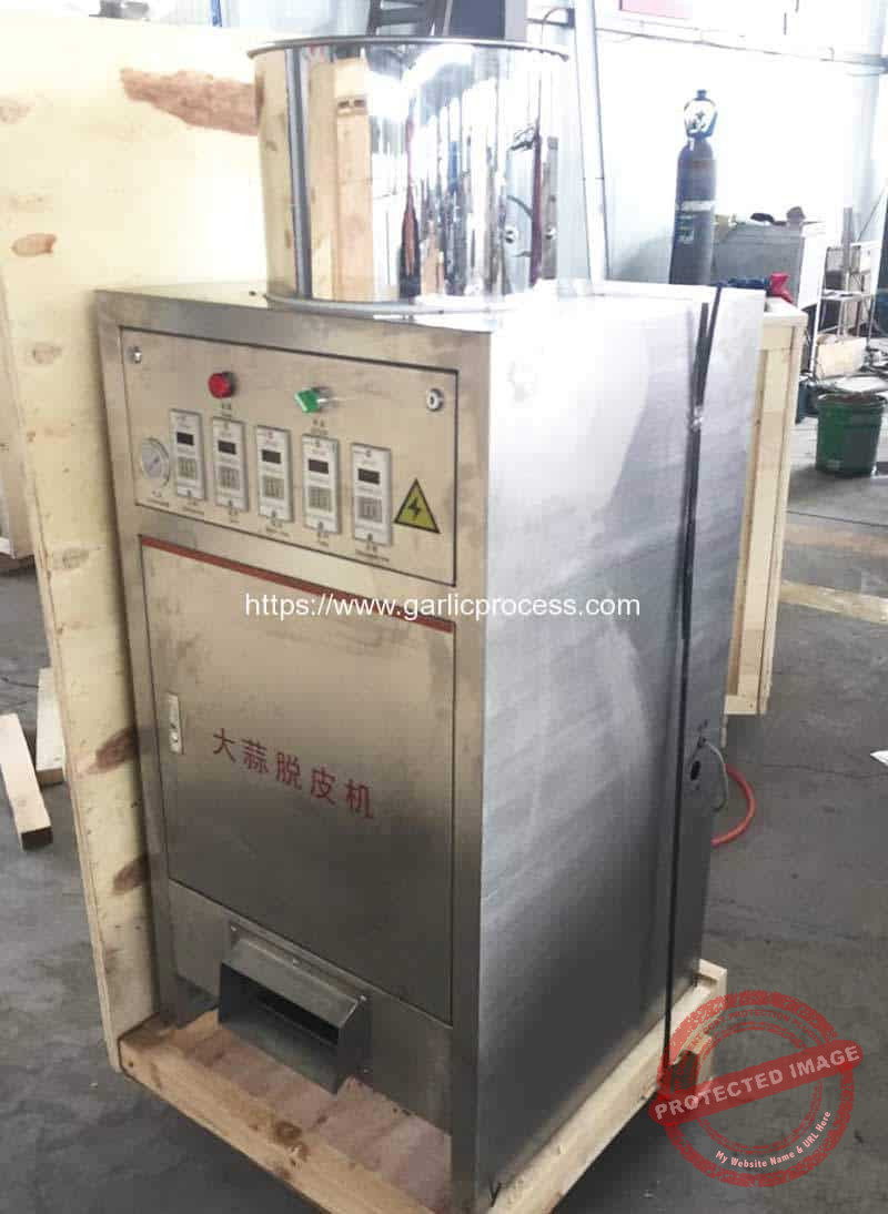 100KGH-Stainless-Steel-Garlic-Peeling-Machine-for-Portugal-Customer